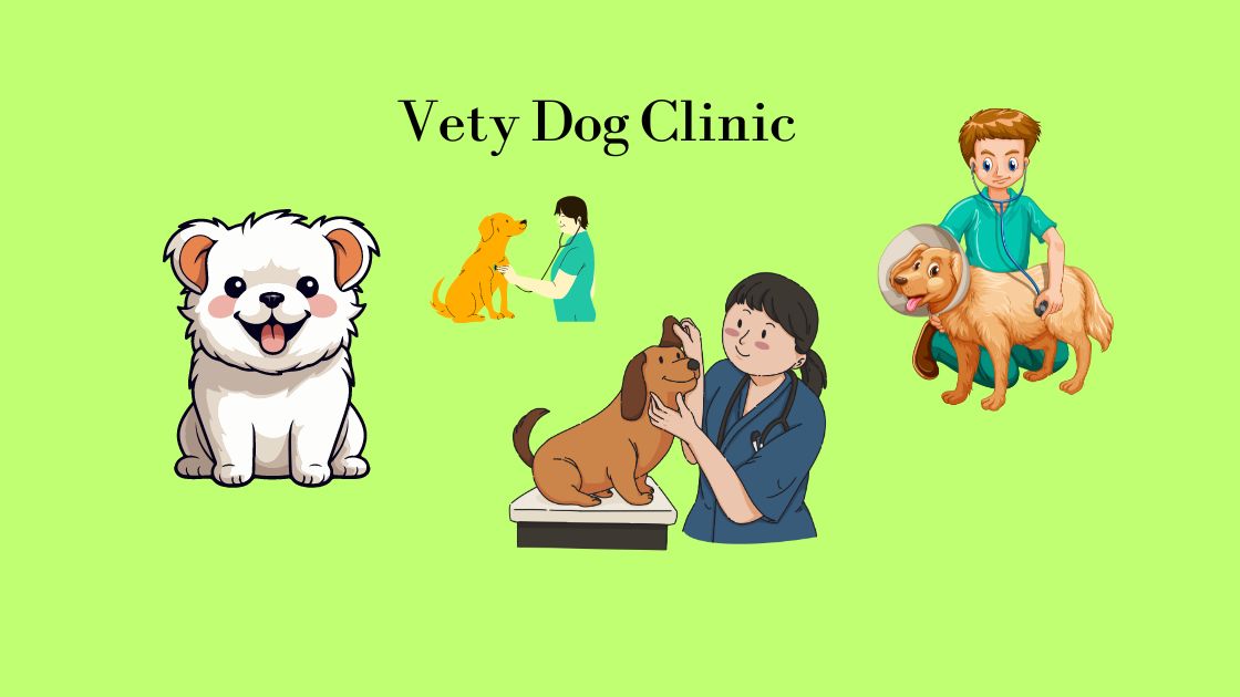 Vety Dog Clinic