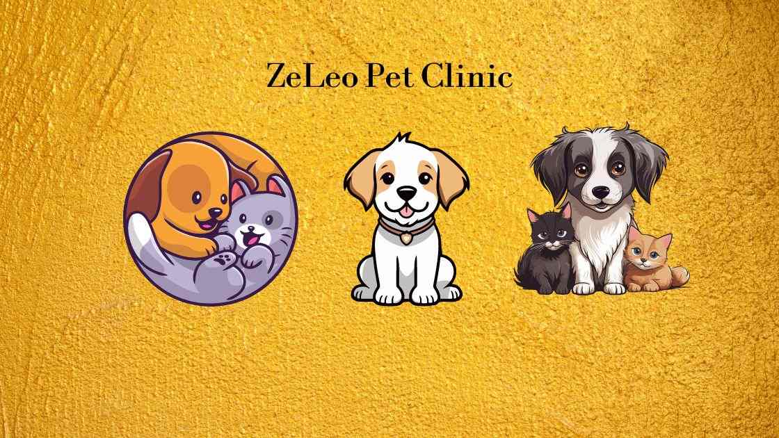 ZeLeo Pet Clinic