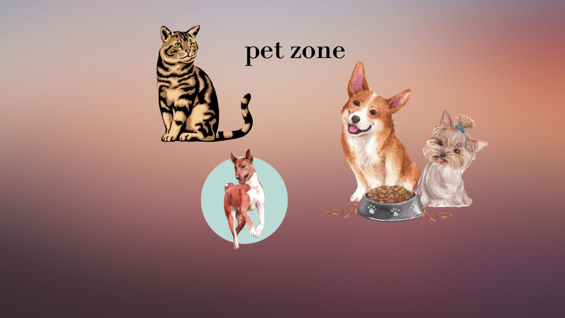 pet zone