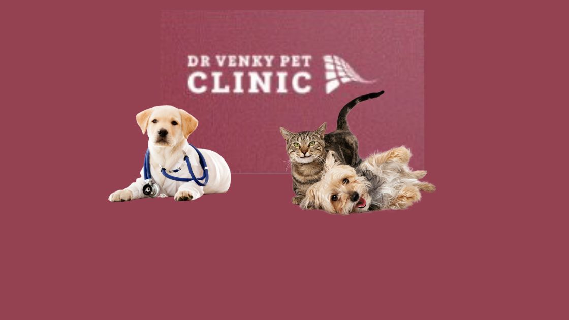 Dr.Venkys Pet Clinic