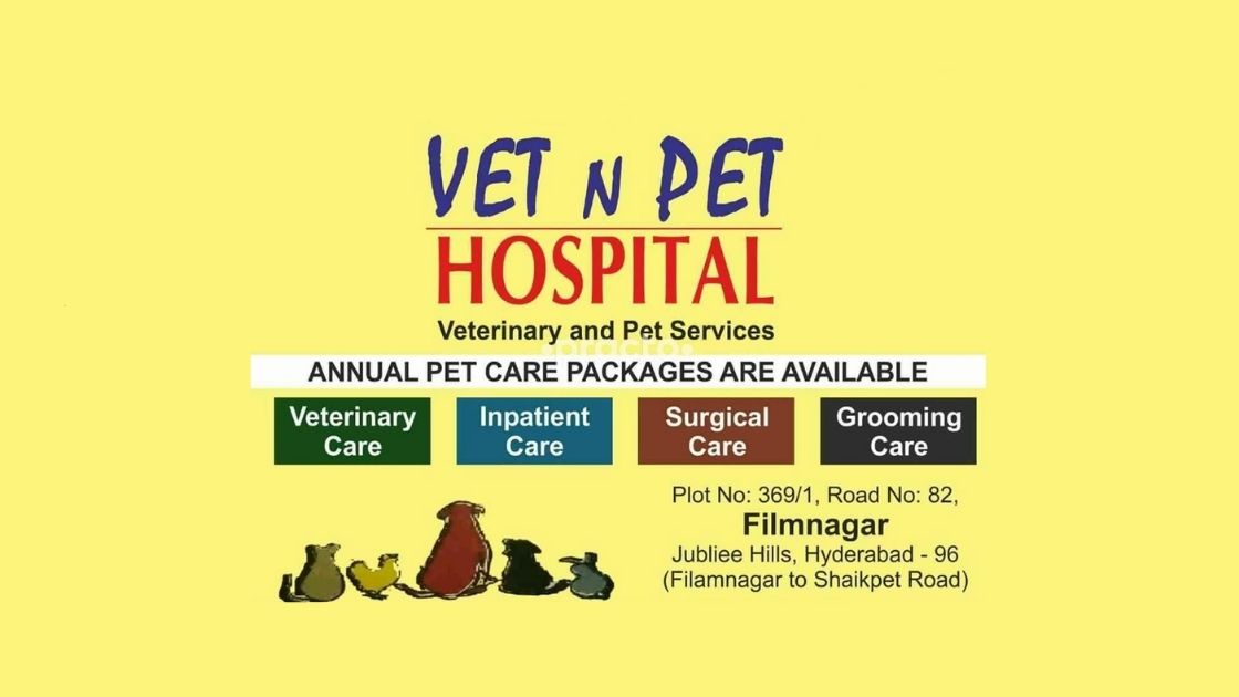 Vet N Pet Hospital