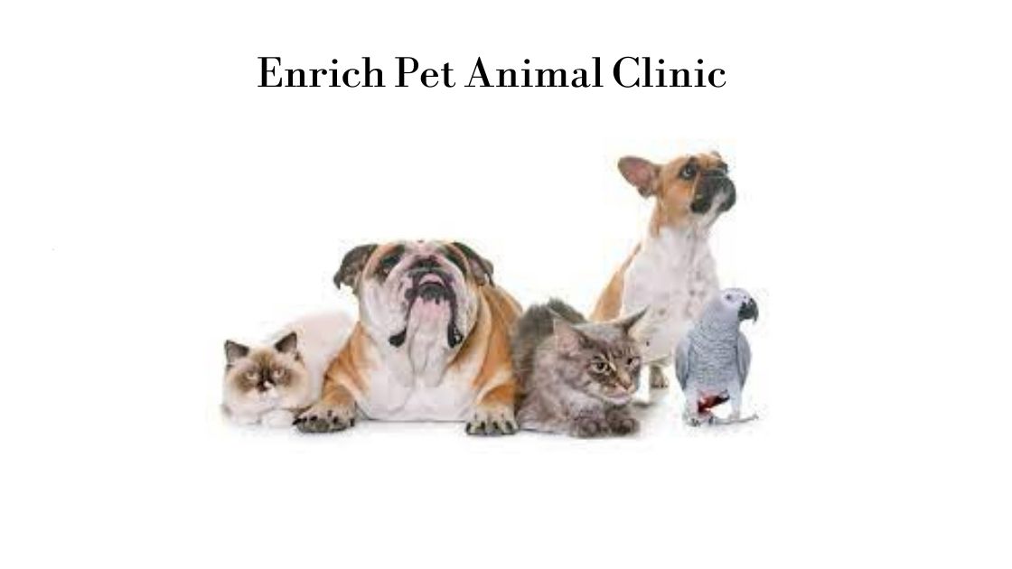 Enrich Pet Animal Clinic