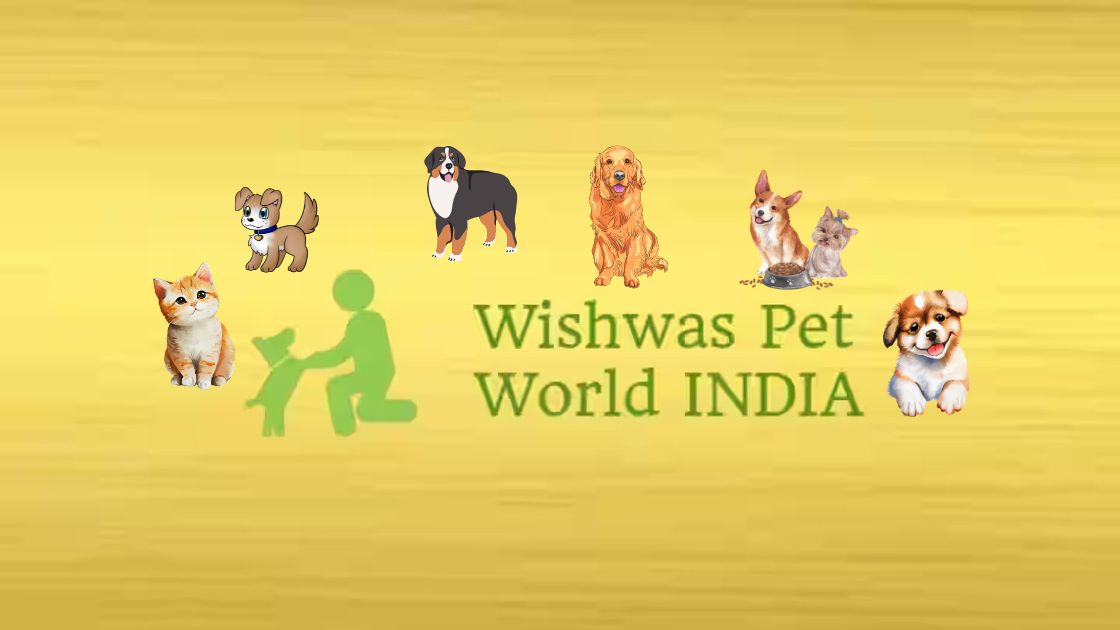 Wishwas Pets World India