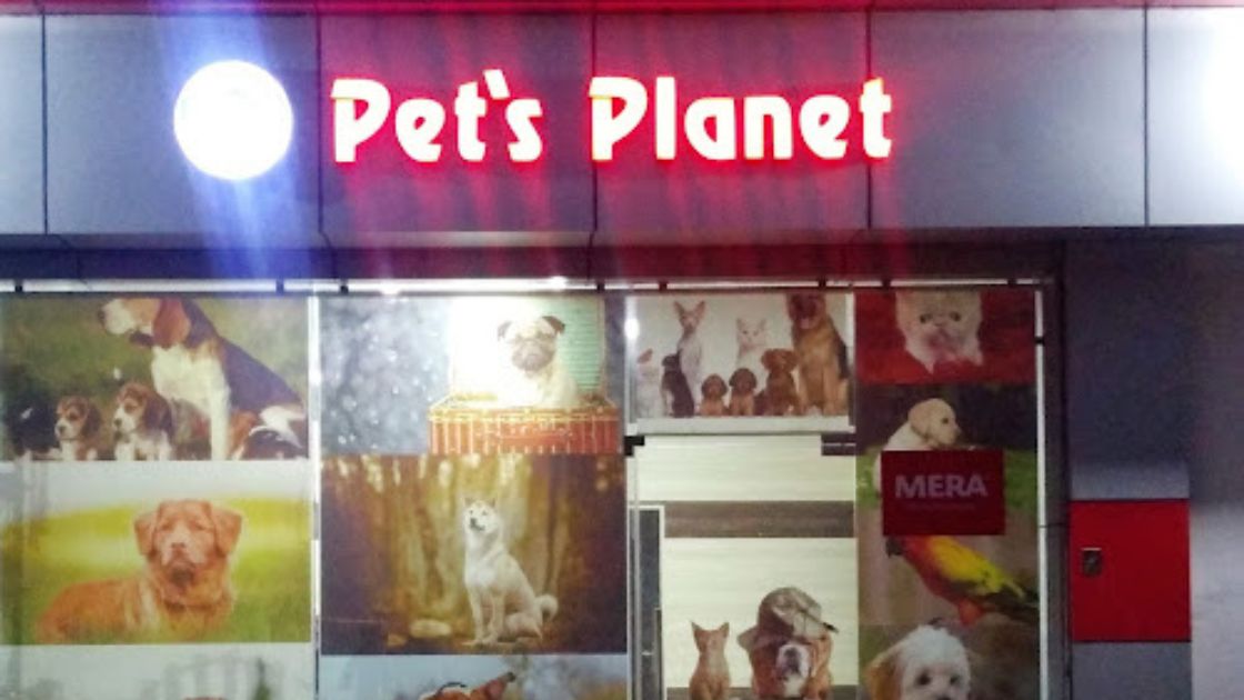 Petplanet Dog Clinic